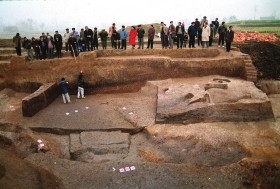 中外考古專家考察澧縣城頭山古文化遺址。圖/新華社