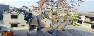 賽龍奪錦奏強音 沙灣古鎮耀新姿