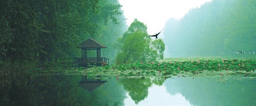 景區風光