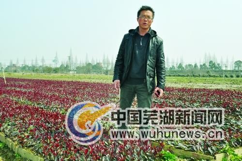 點擊放大