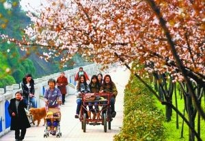 5日，沙濱路春花絢爛，市民享受溫暖的陽光。