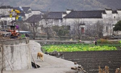 美麗不枯竭古鎮留佳韻