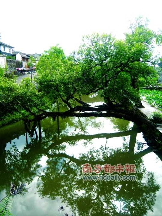小河繞村而過，為和順增添了幾分靈動。