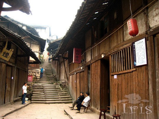 福寶古鎮 竹影搖曳(圖)