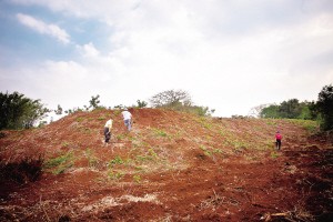海口市瓊山區舊州鎮舊州城遺址古城牆（攝於2011年10月）