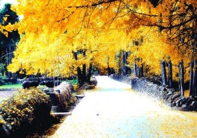 古村古鎮