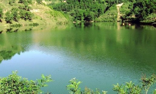 鯨魚溝