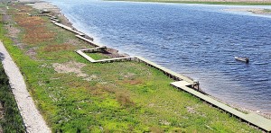永定新河河口木棧橋