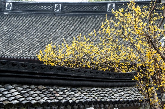 保國寺古建築博物館