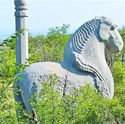 唐崇陵石馬