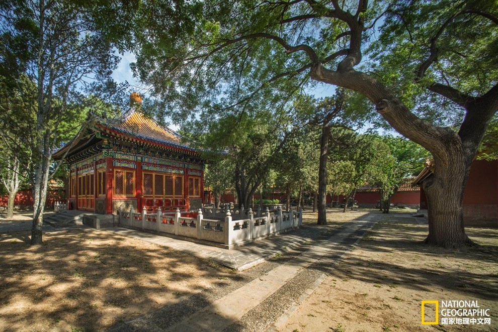 故宮雕塑展館，就在“嬛嬛家”隔壁