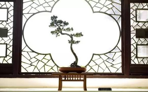 中國古建築八大經典元素，驚艷世界！