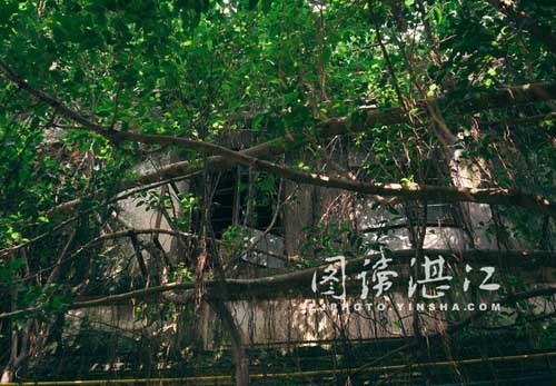 湛江老街的古巷映畫