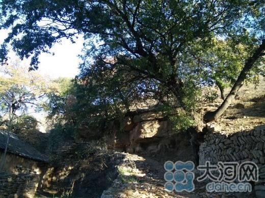 郏縣北竹園村青山綠水古民居帶動休閒游