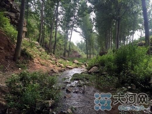郏縣北竹園村青山綠水古民居帶動休閒游