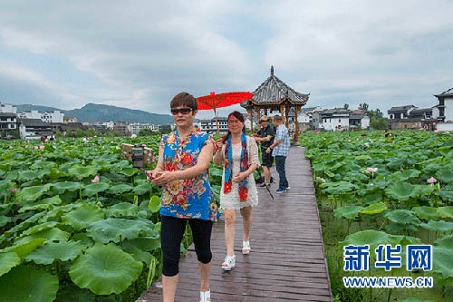 泸溪千年古鎮荷香荷韻惹人醉