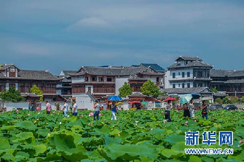 泸溪千年古鎮荷香荷韻惹人醉