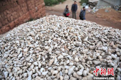 雲南發現中國最深貝丘遺址 滇中青銅時代上限提前數百年