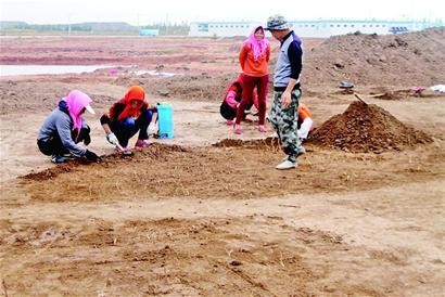 膠東3000歲古村落重見天日 遺址內有10多處墓葬
