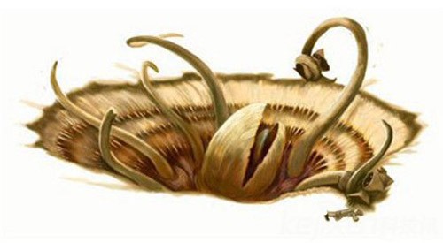 考古發現5.2億年前新物種 恐怖生物滿口牙齒
