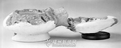 “亮島人”人骨