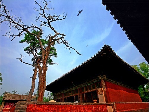 閣院寺