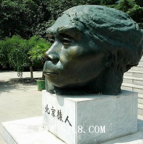 北京猿人