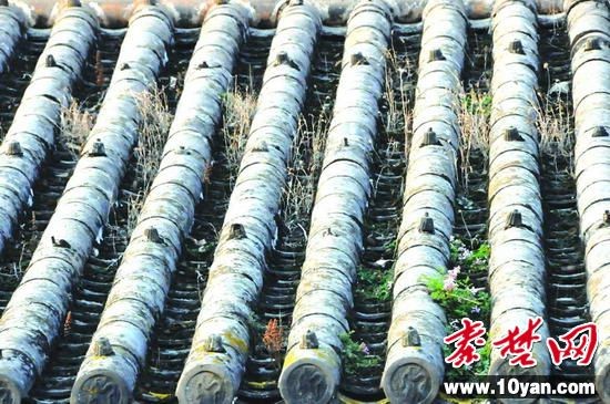 大成殿屋頂