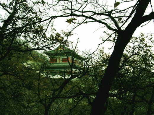 大連清泉禅寺