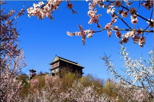 慈清寺南百米處的秀峰寺塔