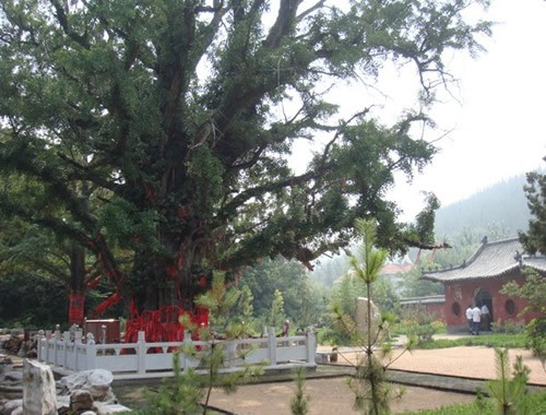 安山寺