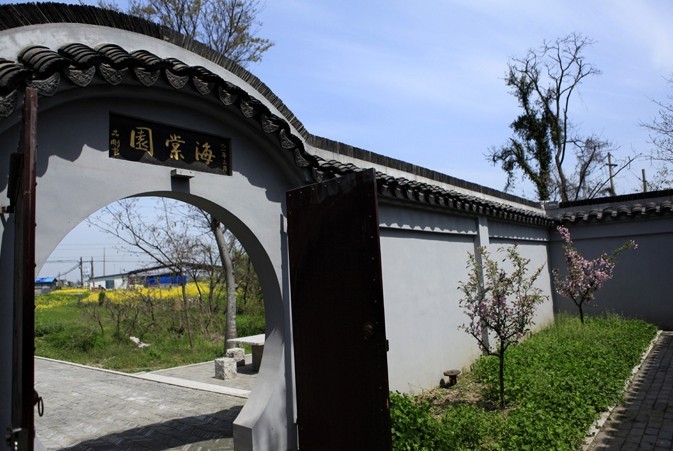 宜興東坡海棠