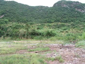 寧波：陳岙青瓷窯遺址