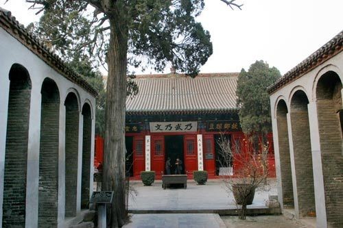 湯陰岳飛廟精忠柏
