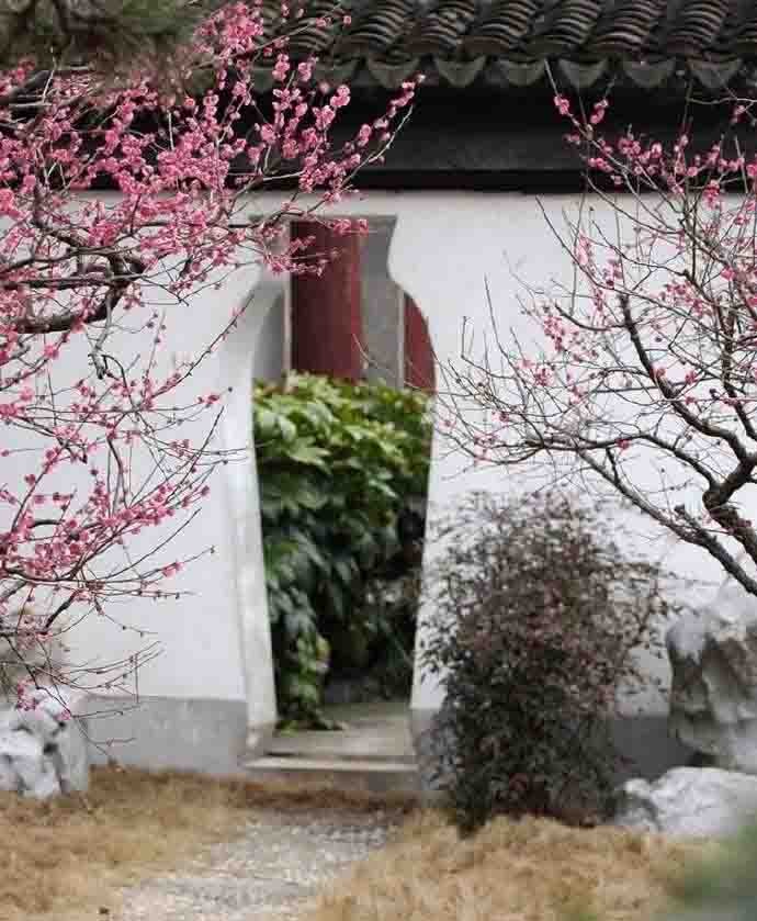 寶瓶
