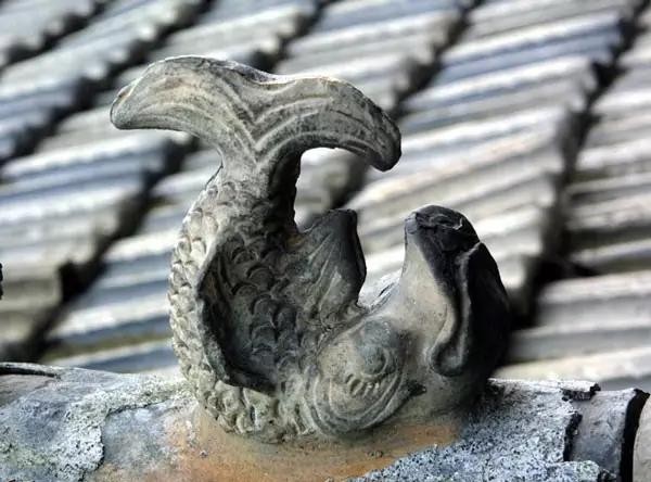 狎魚