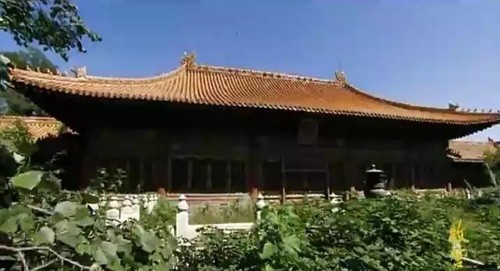 大鵬展翅 飛動之美——庑殿頂與懸山頂