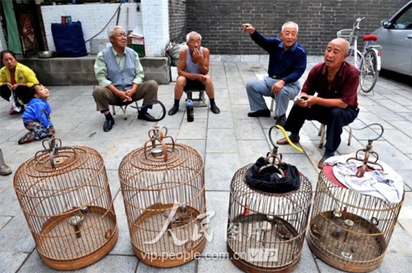 中國最大的木質鼓樓