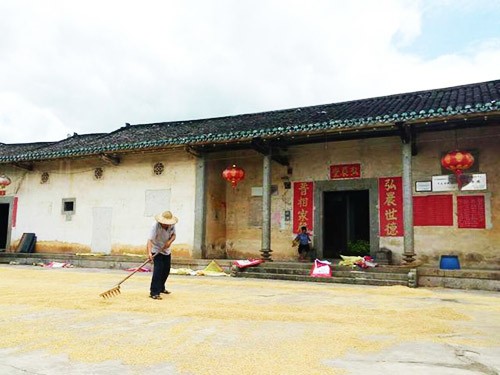棣華圍正門及禾坪 