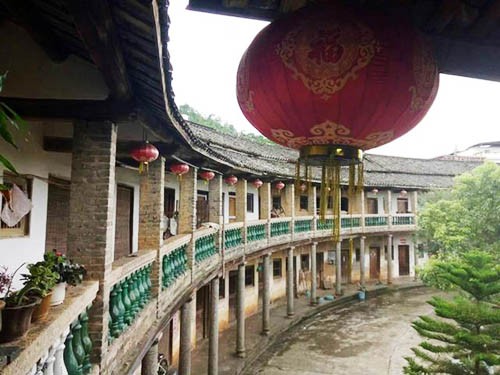 棣華圍圍龍 