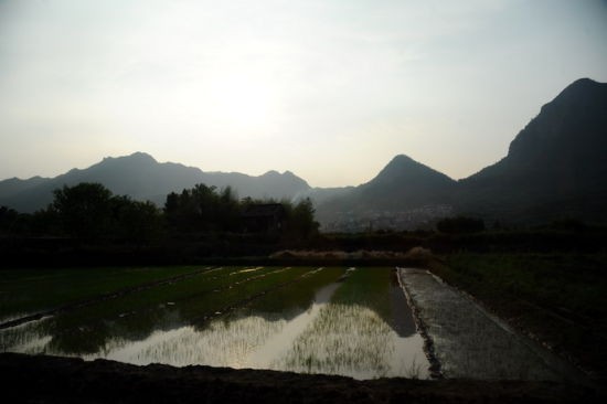 新葉古村