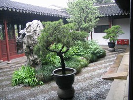 蘇州藝圃園