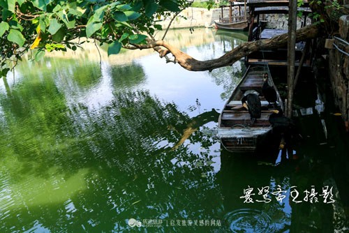 無錫：三面環水的“半島”巡塘古鎮