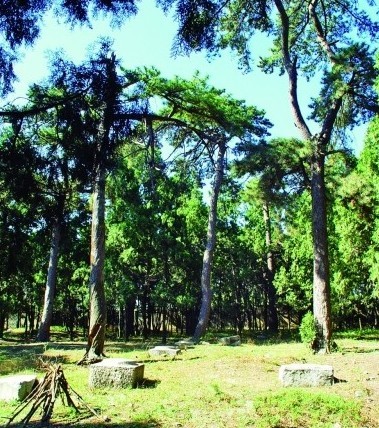 悼陵享殿遺址 
