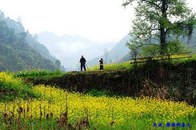 長溪村 婺源深山古村落