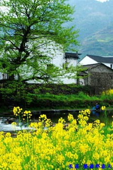 長溪村 婺源深山古村落