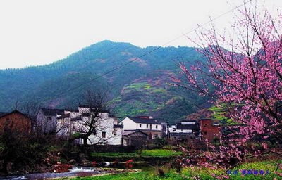長溪村 婺源深山古村落
