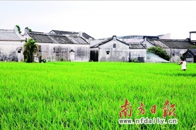 嶺南古村落——普寧泥溝村