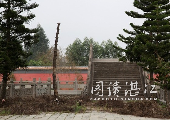 光禿禿的樹，枯敗的雜草——這裡已經很久沒人打理了