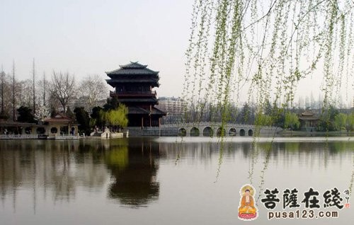 合肥明教寺